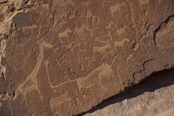 Ancient rock engravings