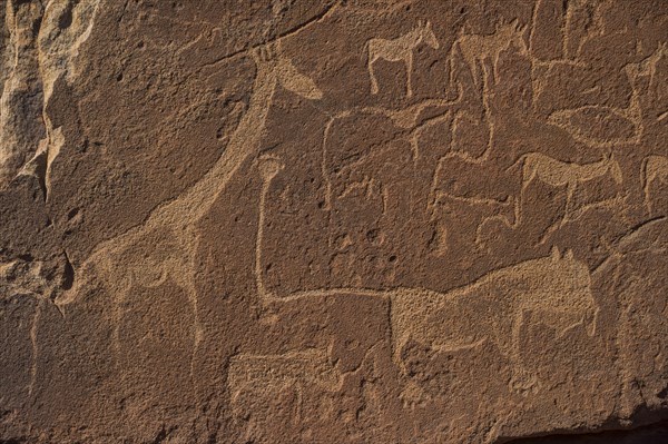 Ancient rock engravings