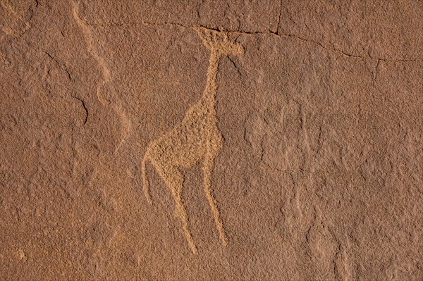 Ancient rock engravings