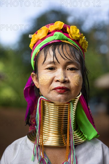 Padaung long-necked woman with brass neck rings