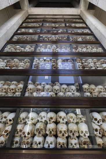 5000 Human Skulls