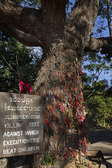 Killing Tree with bracelets in memory of killed children