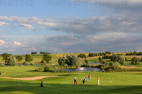 Golf player putting