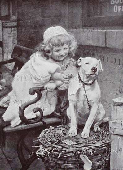 Little girl gives the domestic dog a biscuit