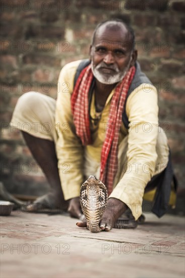 Snake charmer