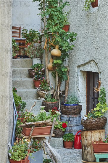 Old lane with flower decoration