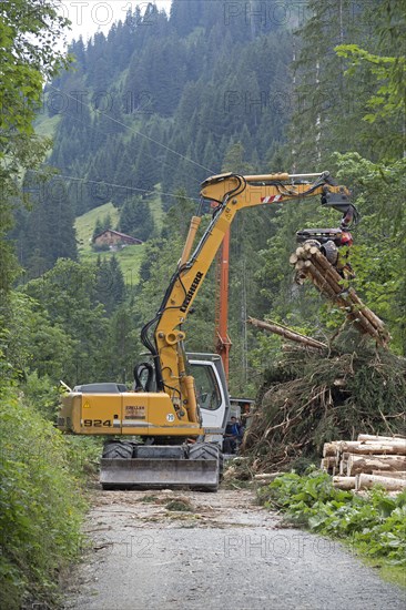 Tree felling with excavator