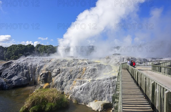 Pohutu Geyser and Prince of Wales Feathers Geyser