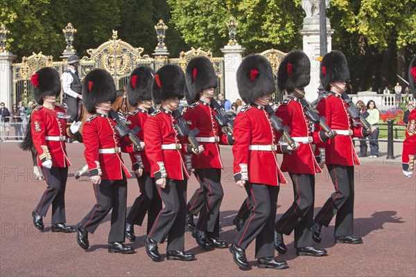 Changing the Guard