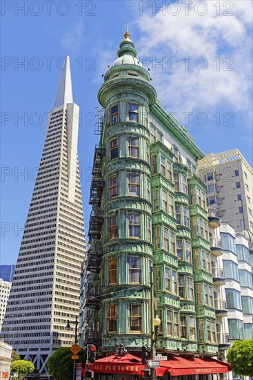 TransAmerica Pyramid and Columbus Tower