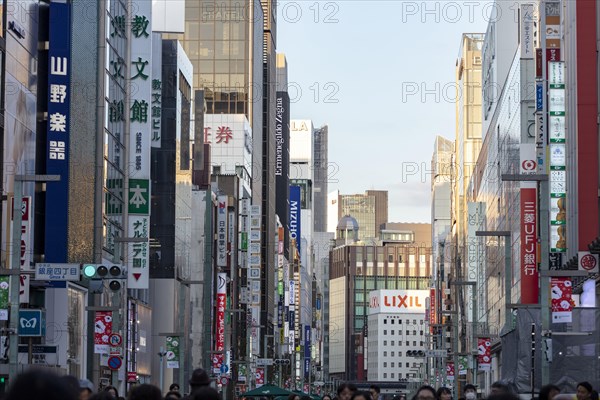 Gorge of houses with advertising signs in the shopping mile