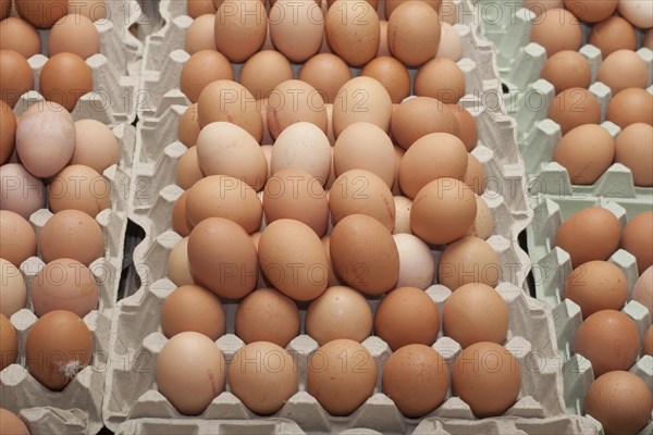 Fresh eggs