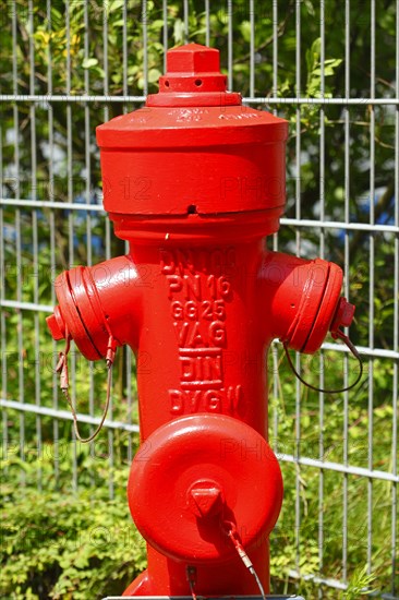 Red Hydrant