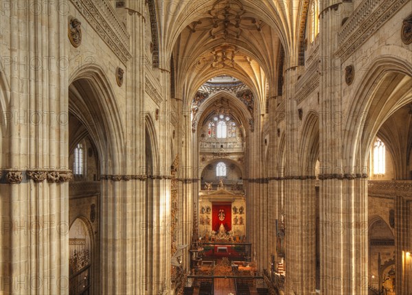 Interior of the New Cathedral