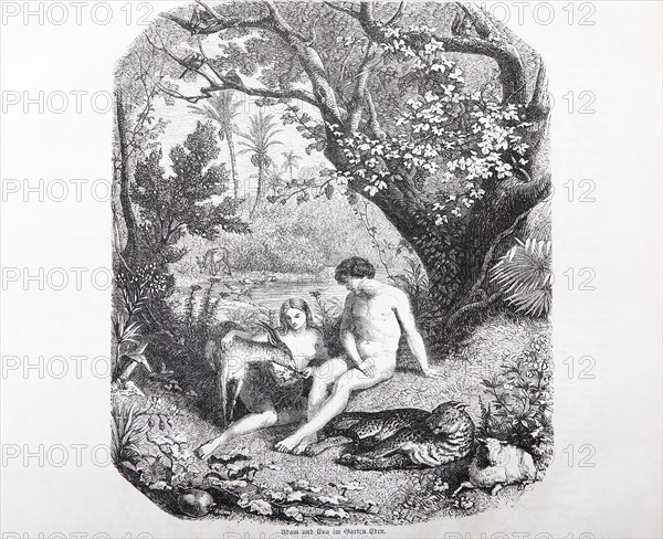 Adam and Eve in the Garden of Eden