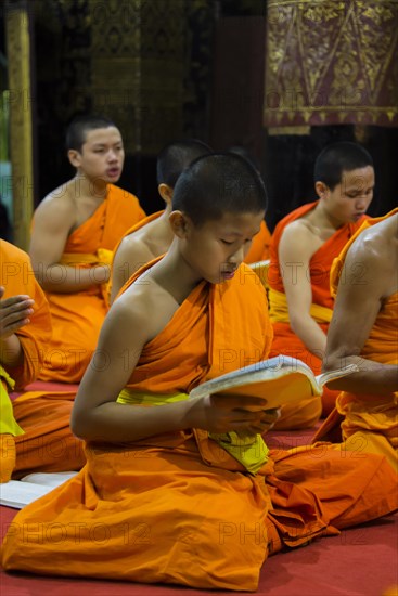 Buddhist monk praying in the temple Wat Xieng Thong