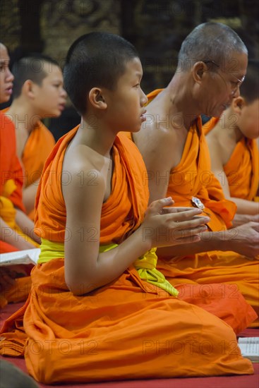Buddhist monk praying in the temple Wat Xieng Thong
