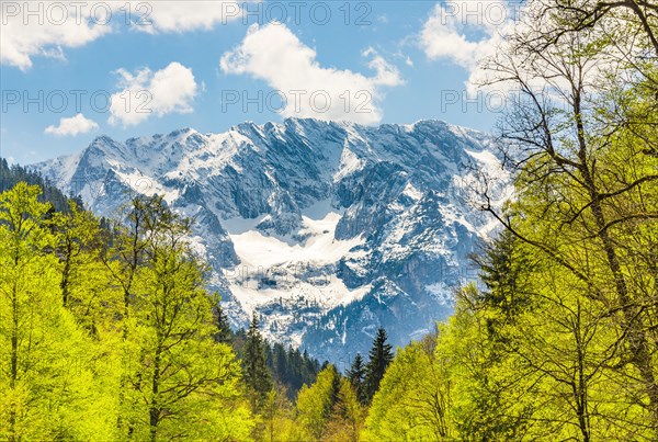 View on mountains with snow and trees in spring