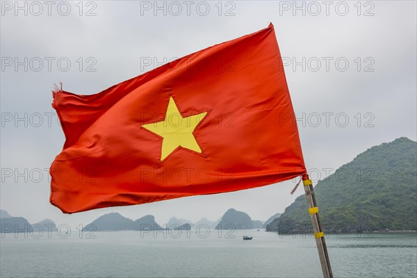 Vietnamese Flag