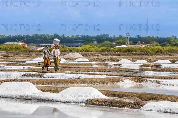 Salt mine workers walking through water basin for salt extraction