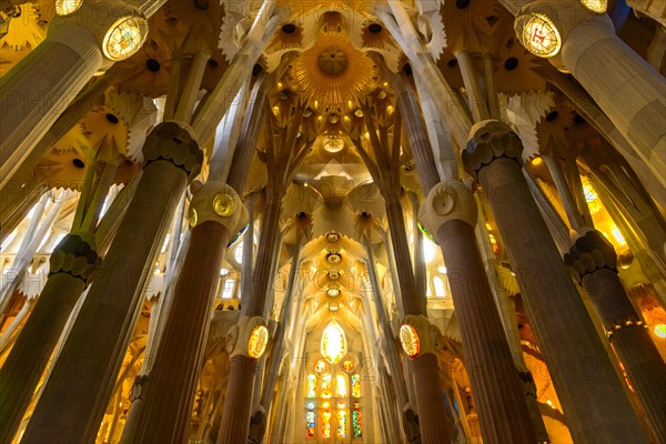 Interior view ceiling vault