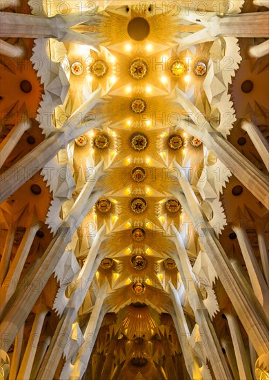 Interior view ceiling vault