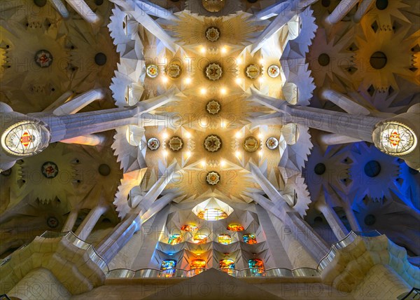 Interior view ceiling vault