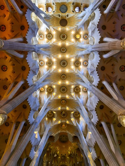 Interior view ceiling vault