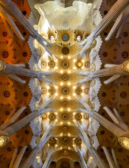 Interior view ceiling vault