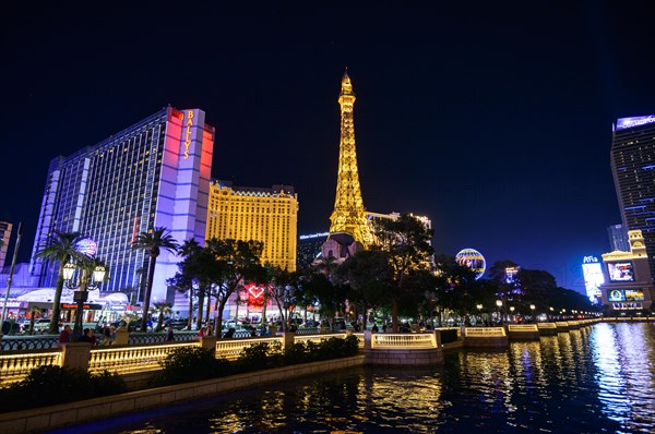 The Strip at Night