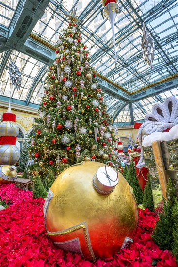 Foyer with Christmas decoration