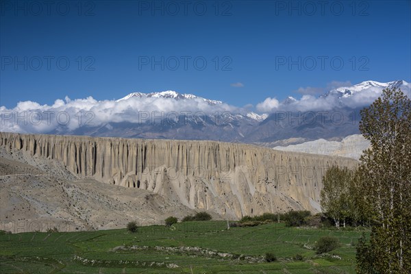 Snowy mountains