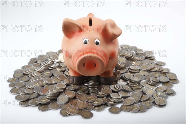 Piggy bank on a pile of euro coins