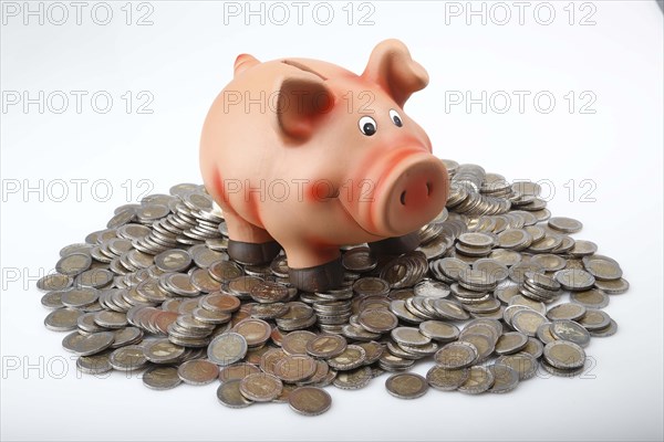 Piggy bank on a pile of euro coins