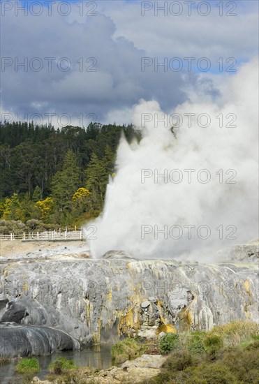 Pohutu Geyser