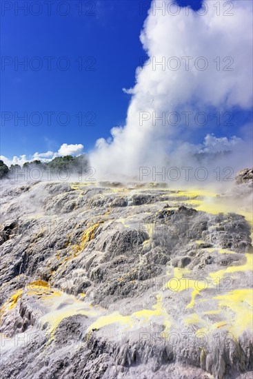 Pohutu Geyser and Prince of Wales Feathers Geyser