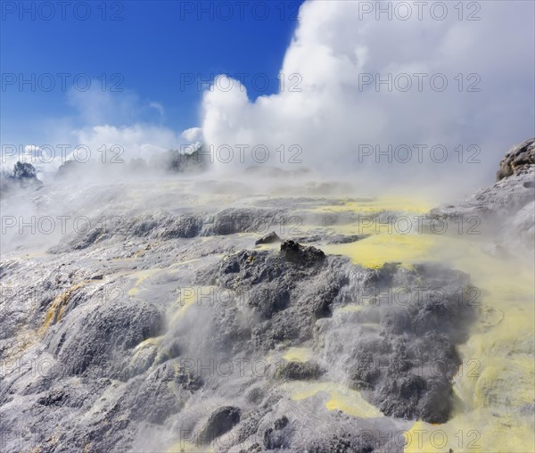 Pohutu Geyser and Prince of Wales Feathers Geyser