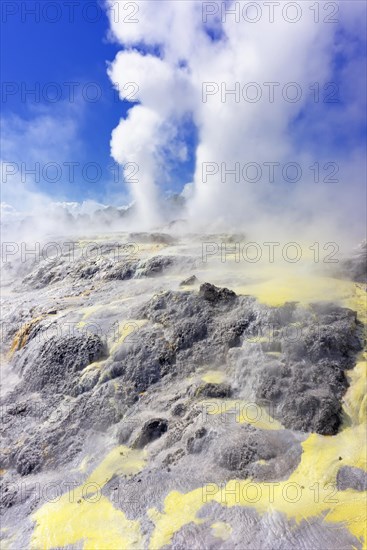 Pohutu Geyser and Prince of Wales Feathers Geyser