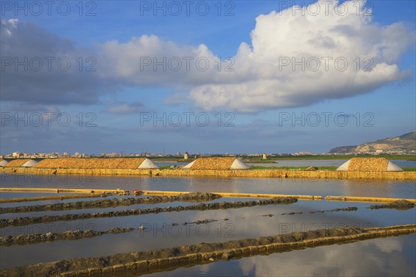 Salt works