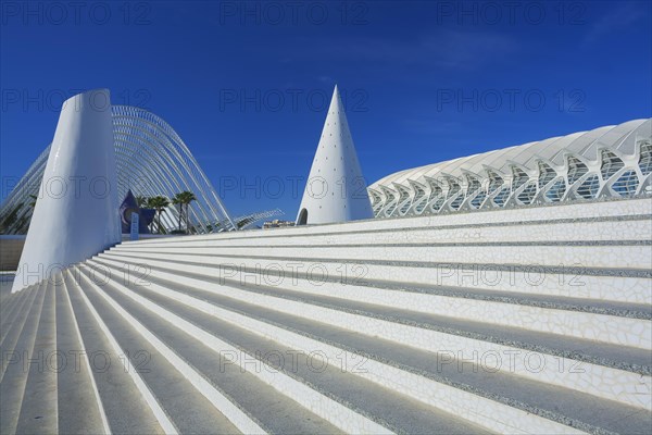 The Umbracle