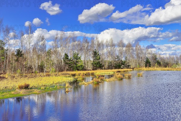 Moorland under a cloudy sky