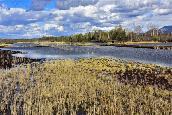 Flooded peat extraction areas under cloudy skies