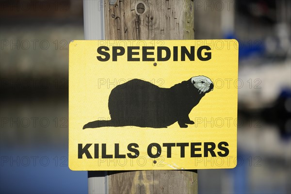 Traffic sign Caution Sea Otter