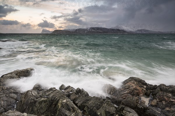 Waves