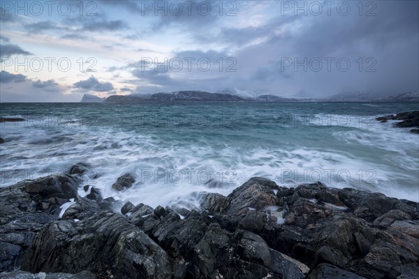 Waves