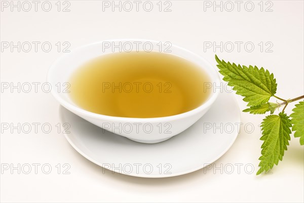 Nettle Tea (Urtica dioica)