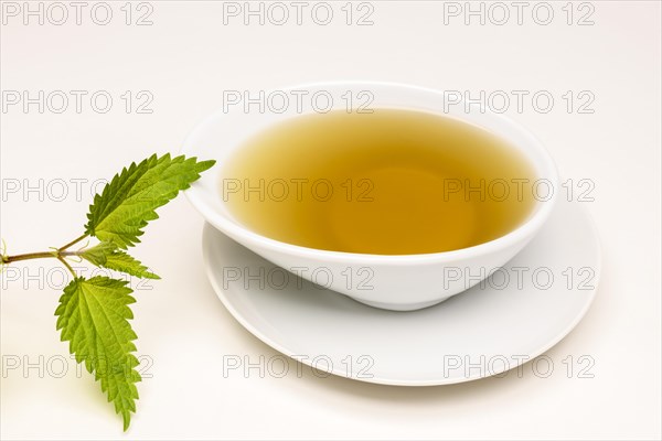Nettle Tea (Urtica dioica)