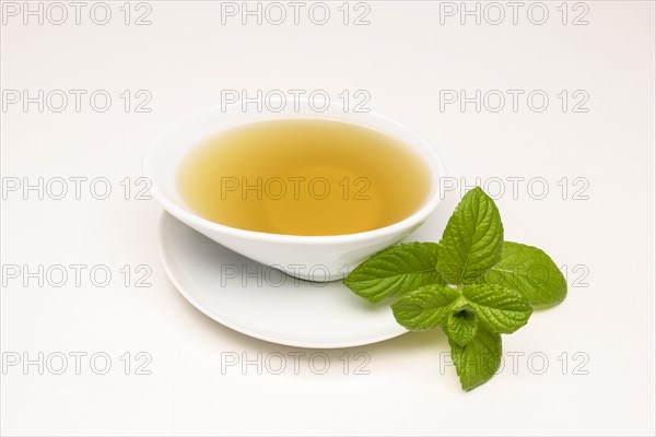 Peppermint tea (Mentha x piperita)