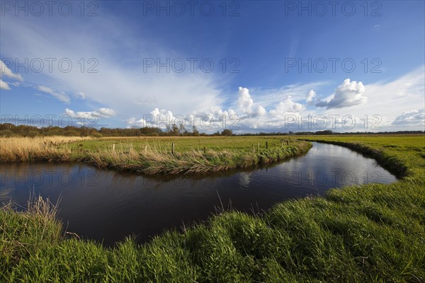 Nature Reserve Oberalster lowland