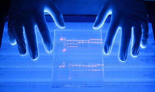 Chromatography is illuminated with UV light